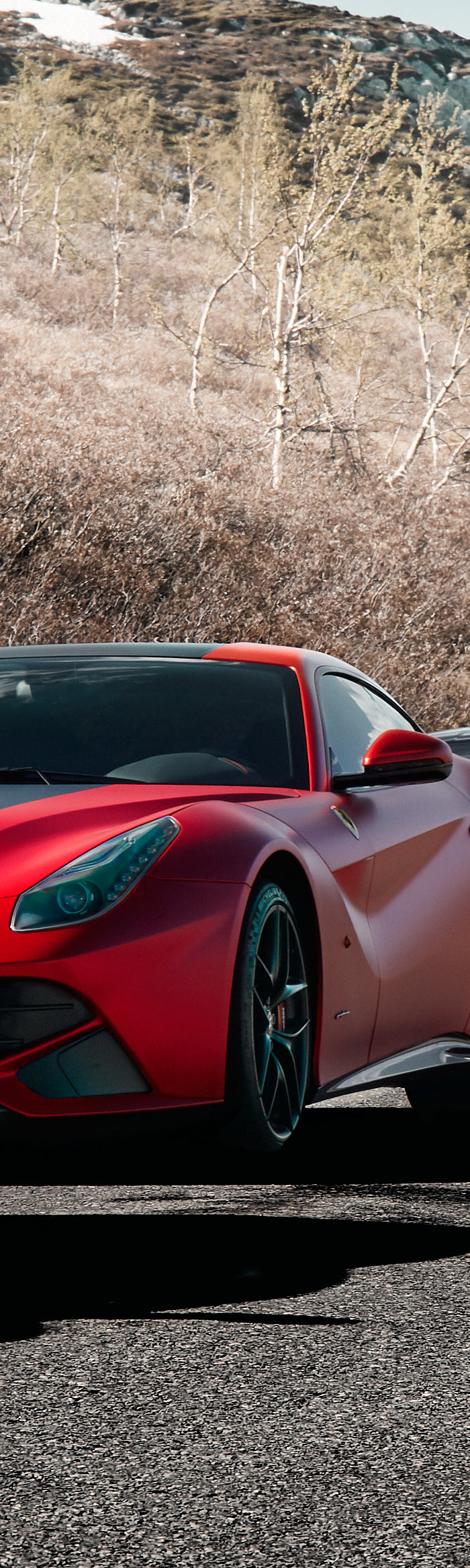 <h2><br/>Pro-Grade Films, Wholesale Pricing<br/><br/></h2>